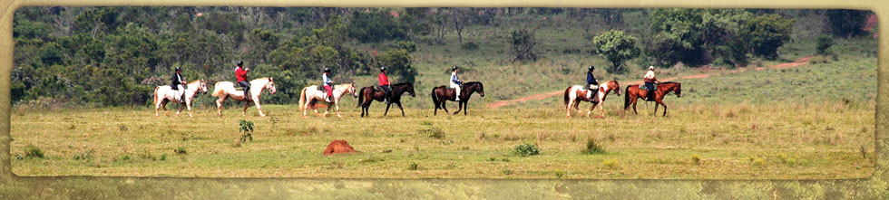 limpopo-province-horse-ride.jpg